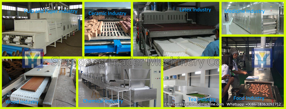 10--100 Tons per day cottonseed oil extraction plant