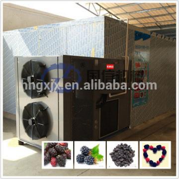 Intact fruit nutrients drying equipment heat pump mulberry dryer