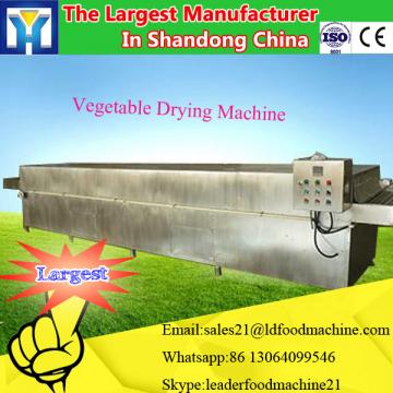 Air cooled compressed air dryer type freeze dryer