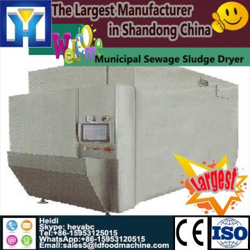 Iron sulfide paddle Dryer