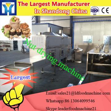 2017 LOWEST PRICE stainless steel fruit drier / fruit drying machine