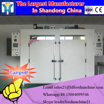 banana/ lemon/ grape/ mango fruit drying machine/ fruit dryer made by LD