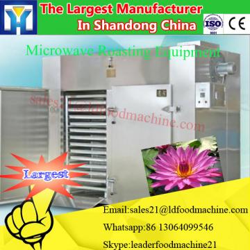 2017 best design fruit processing Continuous microwave drying machine