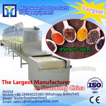 Coconut slice of microwave drying sterilization equipment