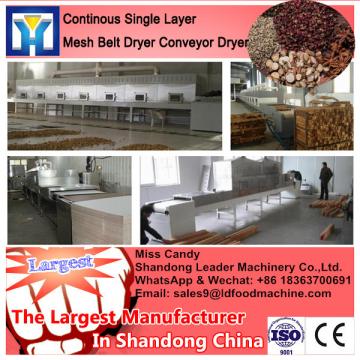 DW Model Continuous Mesh Belt Industrial Food Dryer