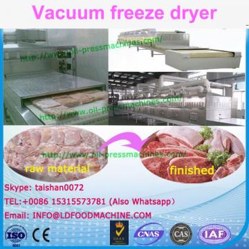 fruit LD freeze drying machinery