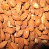 complete set almond dehusking line CTLD1000