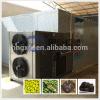 The hotest selling high quality olive drying equipment