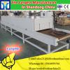 100% natural dried commercial fruit drying equipment/ fruit dryer machine