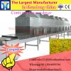 Electric type Mango/Kiwi fruit slice dryer machine/ Fruit drying chamber machine