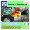 30Ton rice bran oil expeller