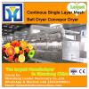 LPG Model Lemon Juice Spray Dryer, Spray Drying Machine Equipment