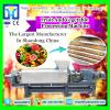 Chilli Seeds Remover machinery With Low Price|Best Selling Chilli Seeds Husk Separator