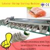 1500KG/H shrimp washing grading machinery/shrimp processing equipment/Lobster Sorting Grader