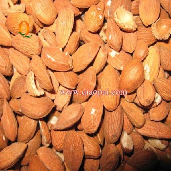 complete set almond dehusking line CTLD1000 #4 image