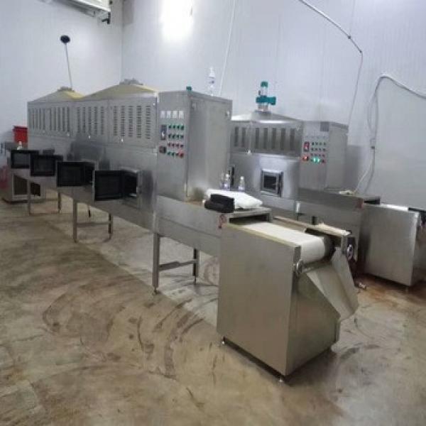 60KW sesame seeds pumpkin seeds peanuts microwave roasting equipment #1 image