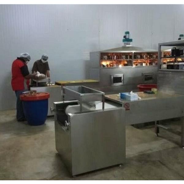 60KW microwave halzel nuts roast sterilizing equipment with puffing effect #1 image