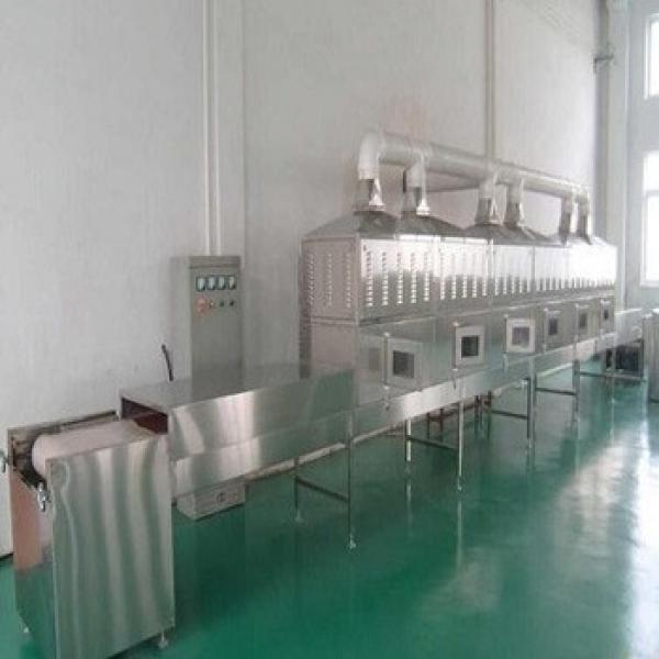 30KW microwave roasting equipment for more flavor sunflower seeds #1 image