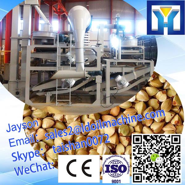 Buckwheat Shelling &amp; Separating Equipments #1 image