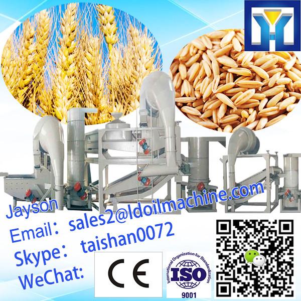 Automatic Mung Bean Polishing Machine/beans polisher #1 image