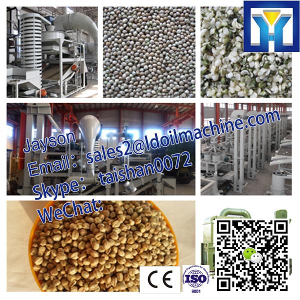 Cow manure fertilizer pellet machine|Double Roller Type Fertilizer Pellet Machine #2 image