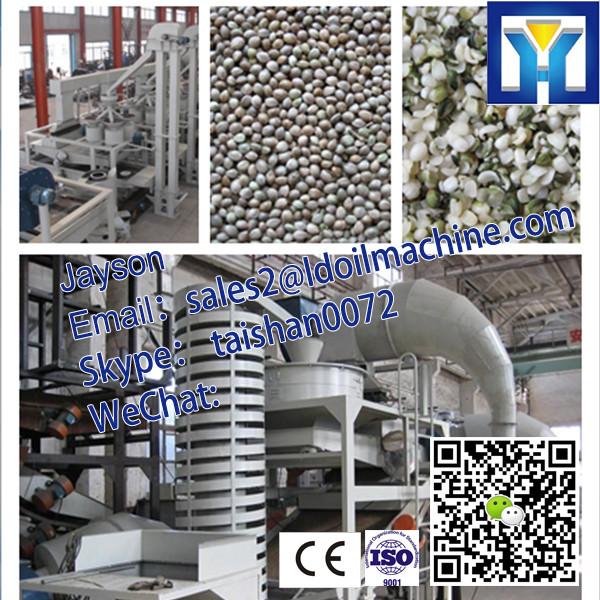 Cow manure fertilizer pellet machine|Double Roller Type Fertilizer Pellet Machine #3 image