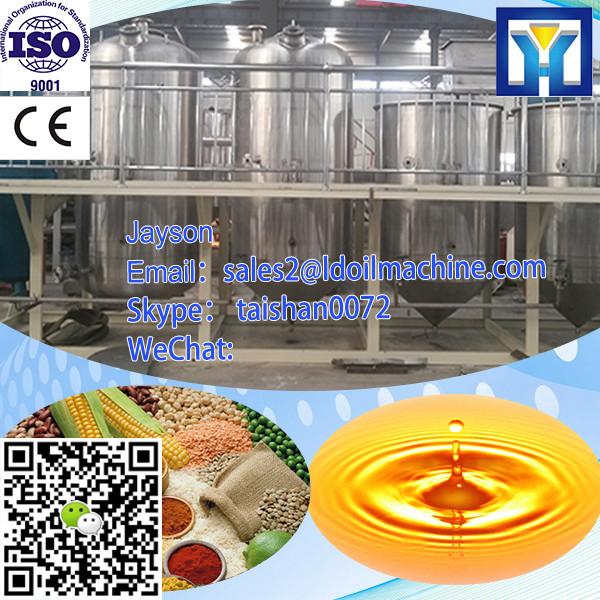 2014 Hot Sale Palm, Palm kernel. Sunflower, Peanut, Soybean, Coconut Oil Seeds Oil Press, Oil Press Machine #1 image