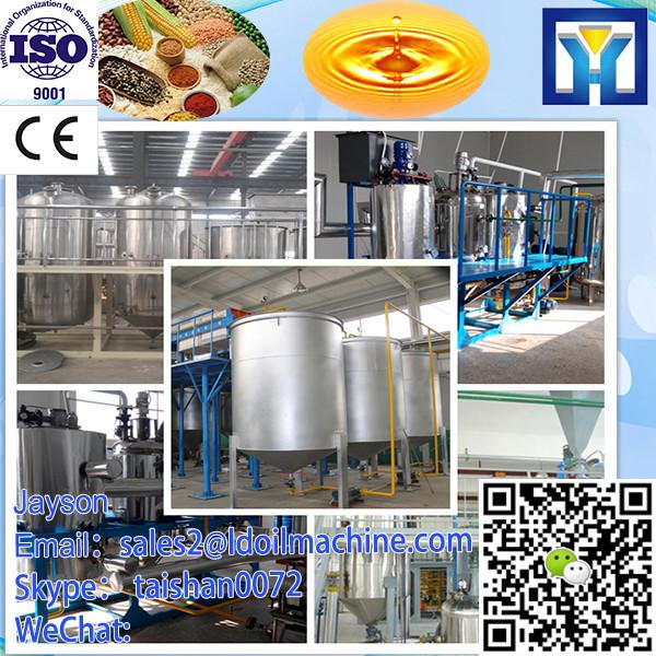 Brand new high quality nut potato chips snacks anise flavoring machine with CE certificate #4 image