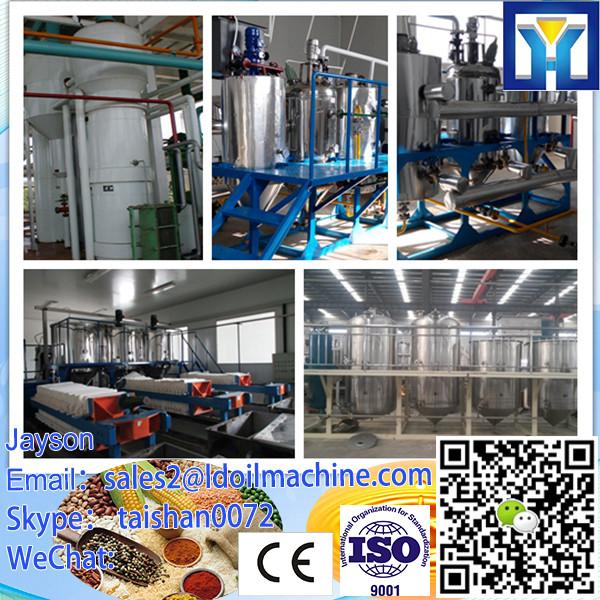 6YL series small hot and cold screw oil press machine #5 image