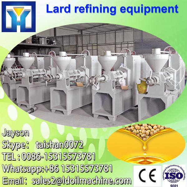 10-100TPD sunflower oil refining processing facility #1 image