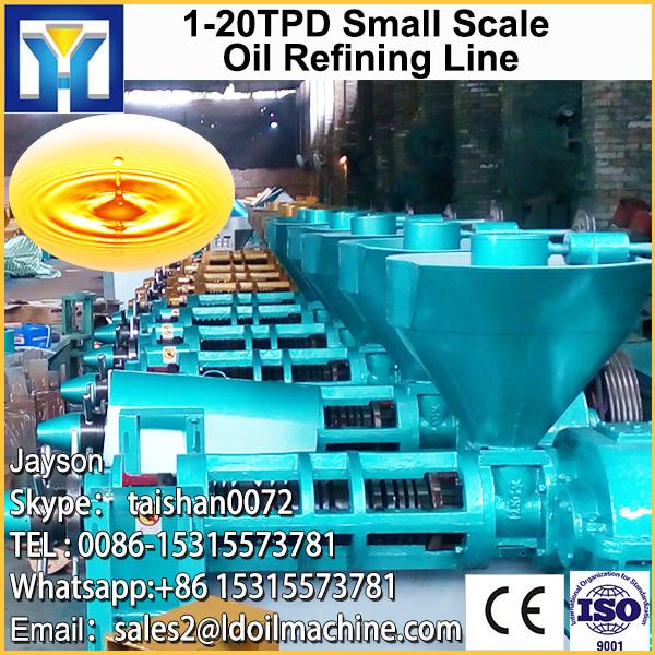 6YY-260 type hydraulic sunflower seeds oil press machine #1 image