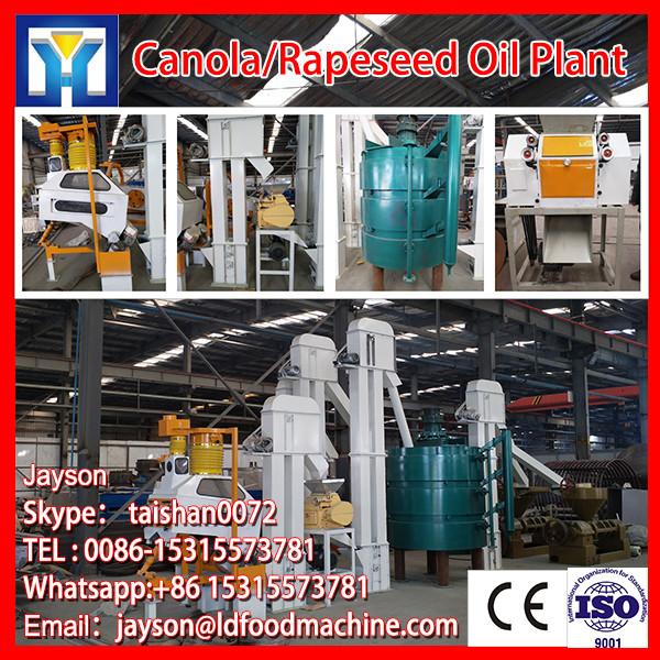 6YL-260 hydraulic oil press ,olive hydraulic oil press machine for pressing pure cooking oil #1 image