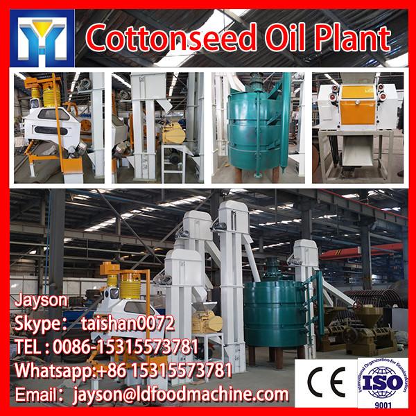 cotton seeds oil press /cottonseed oil press machine /cold press oil machine #1 image