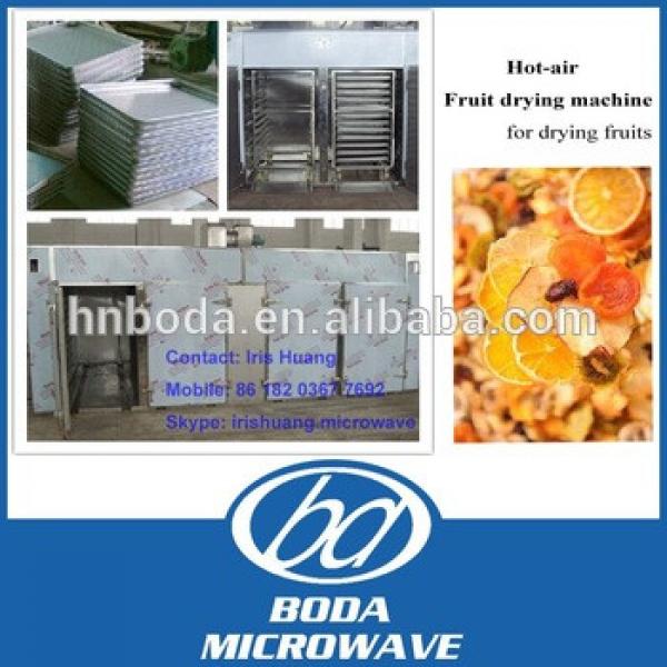 Hot air small fruits drying machine/ batch type fruits drying machine #1 image