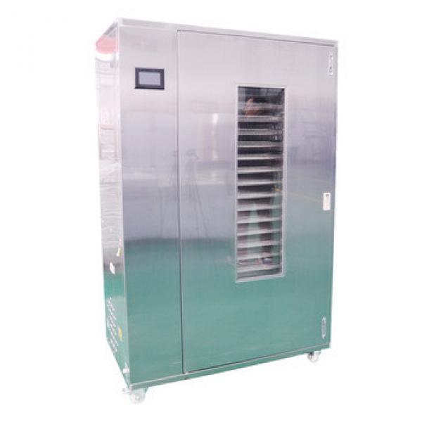 60% thermal efficiency higher heat pump drying allium cepa dryer #5 image