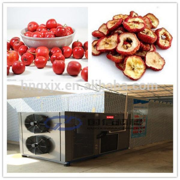 Electric Restaurant Commercial Industrial Fruit and Vegetable Dryer Or Dehydrator/Food Dryer Machine #5 image