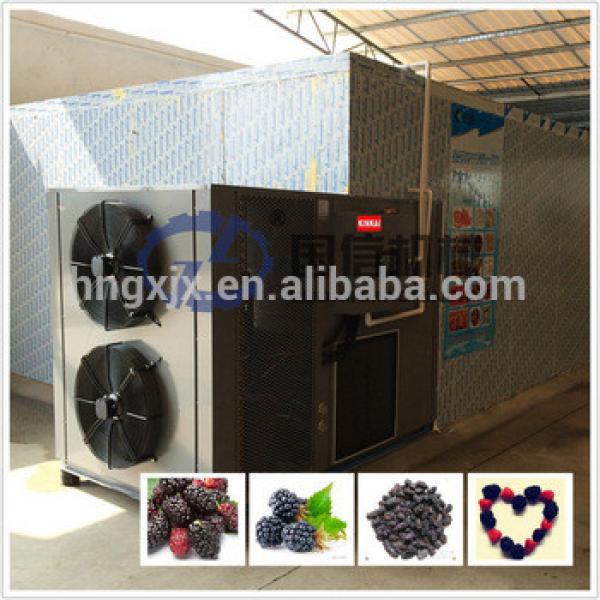 Intact fruit nutrients drying equipment heat pump mulberry dryer #5 image