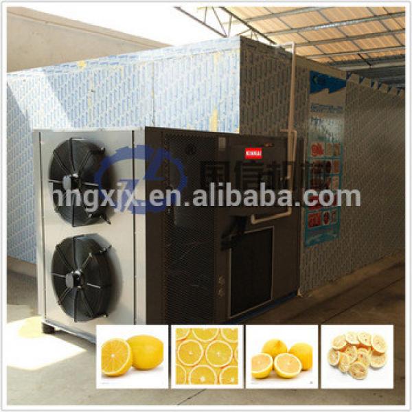 2017 most popular lemon slice drying machine with CE certificate #5 image