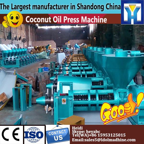 15TPD VCO plant Cold virgin coconut Oil Press machine low temperature copra oil making machine #1 image