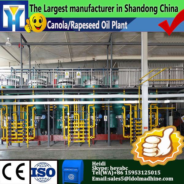 10-80T/H small scale palm oil refining machinery #1 image