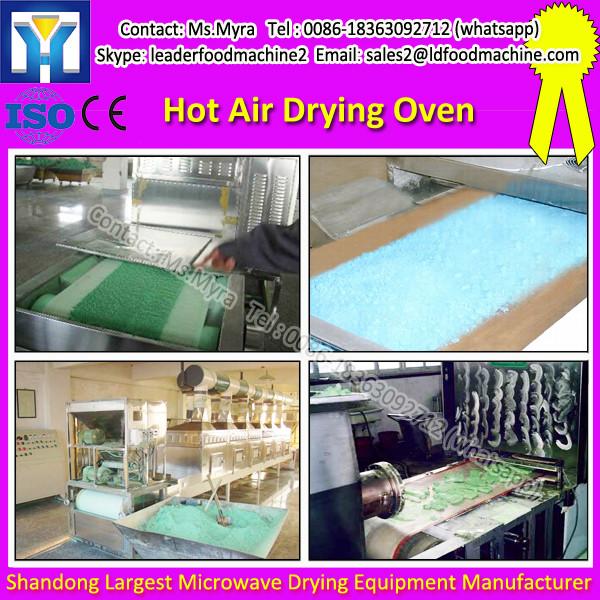 High Quality Fruit Dehydrator CT-C Drying Oven #1 image