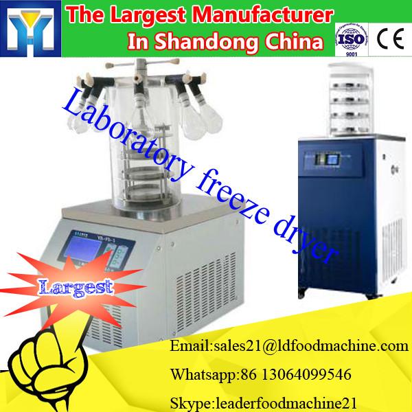 Cheap Mulit-Functin Custom Industrial Vacuum Freeze Dryer #2 image