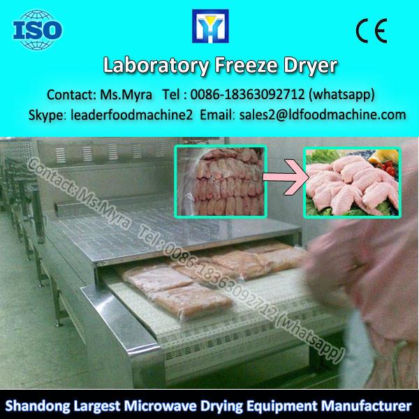 10-20KG Apple Section Vacuum Freeze Dryer Machine #1 image