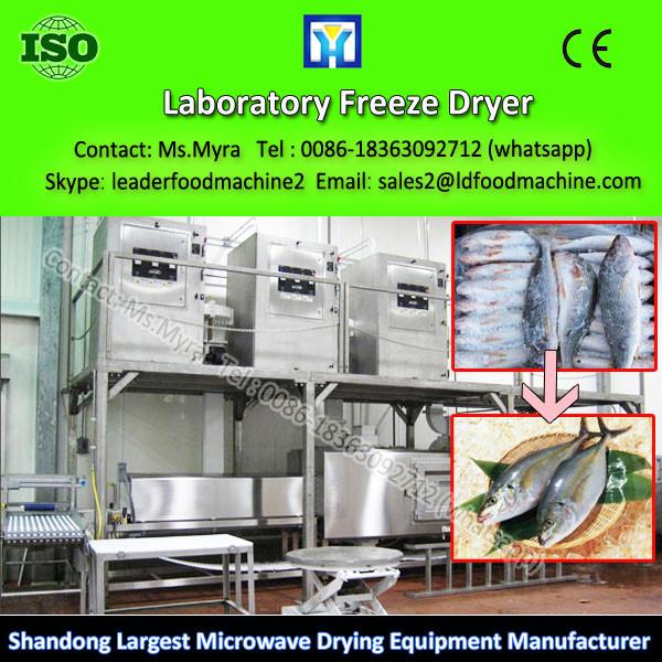 10 KG Capacity Square Shape Flour Milk Freeze Dryer #1 image