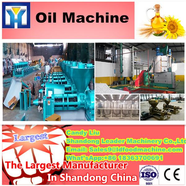 Durable cold black sesame/rosehip seed oil press machine #1 image