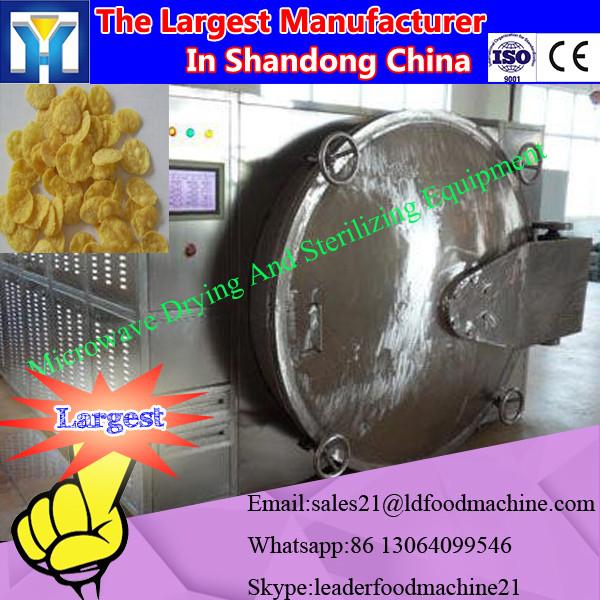 Tunnel type industrial microwave Alpinia katsumadai dryer machine #3 image