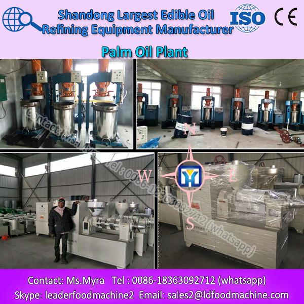 200-300t/d cotton seeds oil production line by LD #1 image