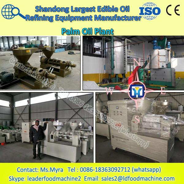 10--100 Tons per day sunflower oil extraction plant #1 image