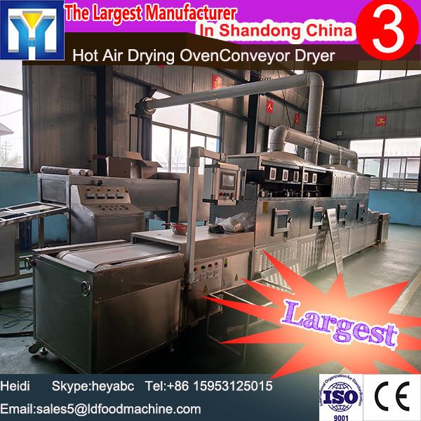 circulating hot air oven/Large Hot Air circulating drying oven/fruit dry oven #1 image