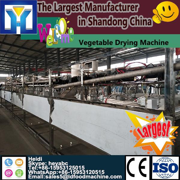 China tomato processing machine/tomato dryer oven/ginger dehydrator #1 image